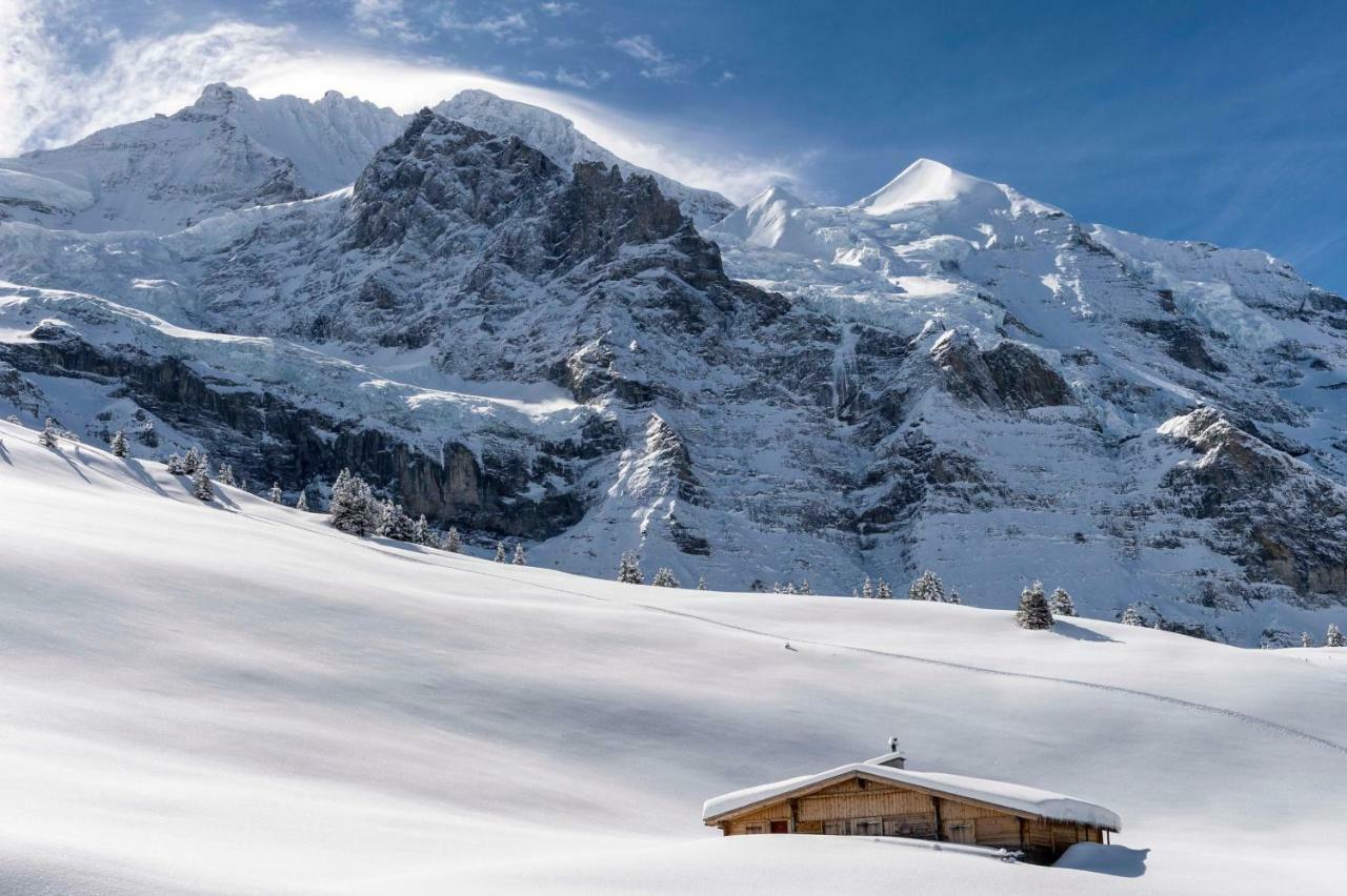 O 68 Haus Bel Air Apartamento Wengen Exterior foto