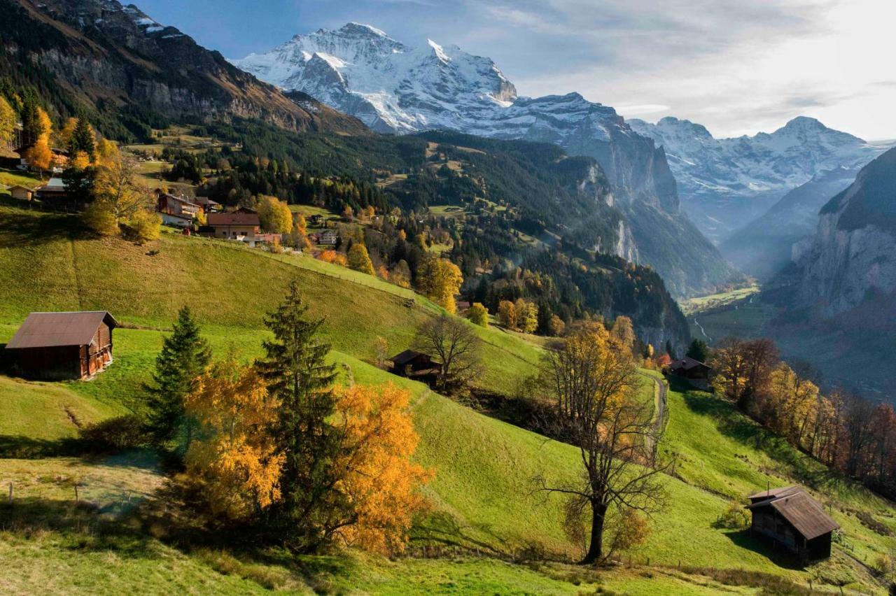 O 68 Haus Bel Air Apartamento Wengen Exterior foto